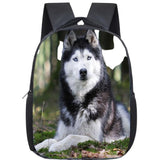 Cartable Husky 3