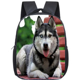 Cartable Husky 4